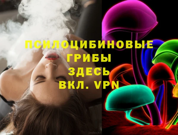 ГАЛЛЮЦИНОГЕННЫЕ ГРИБЫ Володарск